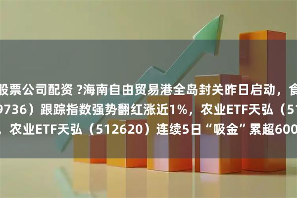 股票公司配资 ?海南自由贸易港全岛封关昨日启动，食品饮料ETF天弘（159736）跟踪指数强势翻红涨近1%，农业ETF天弘（512620）连续5日“吸金”累超6000万元